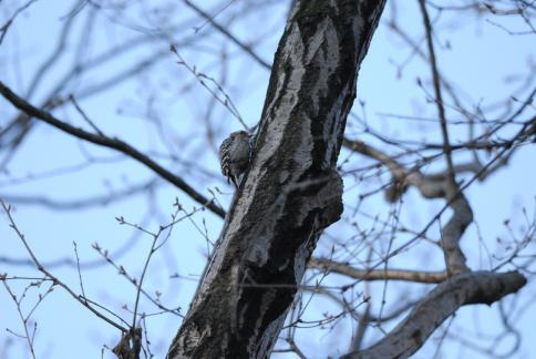 DSC_1405sss.jpg