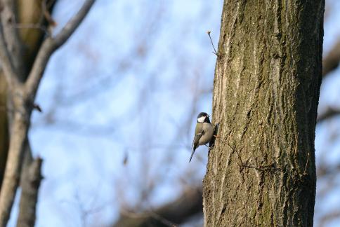 DSC_1462sss.jpg