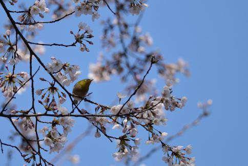 DSC_1504sss.jpg