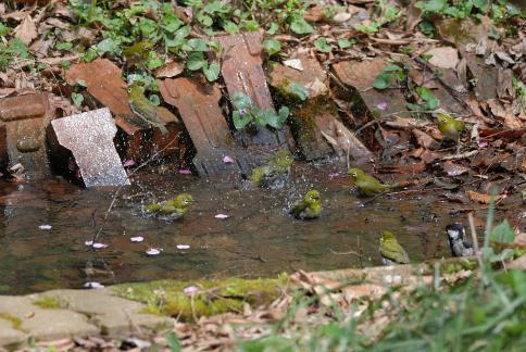 DSC_2588sss.jpg