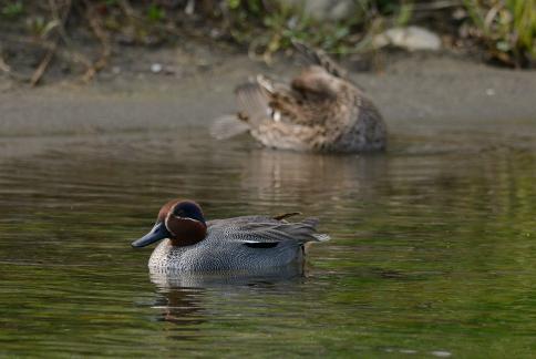 DSC_2719sss.jpg