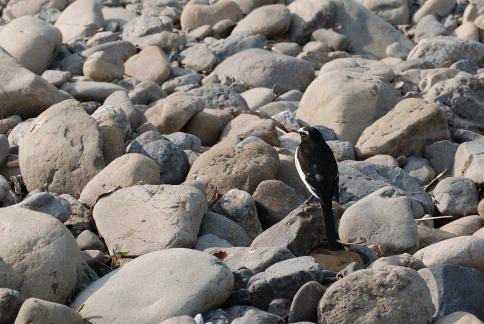 DSC_2770sss.jpg