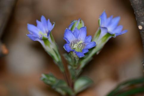 DSC_2804sss.jpg