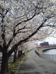 2012041201
