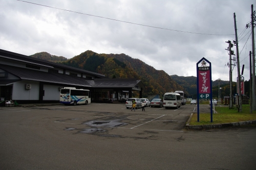 IMGP3620.jpg