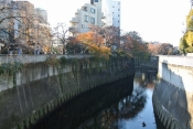 DSC_3082.jpg