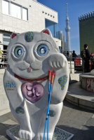 DSC_3307.jpg