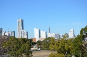 DSC_6283.jpg