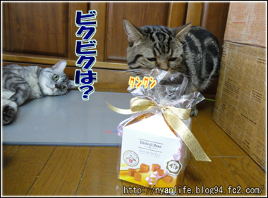 20110929-2.jpg