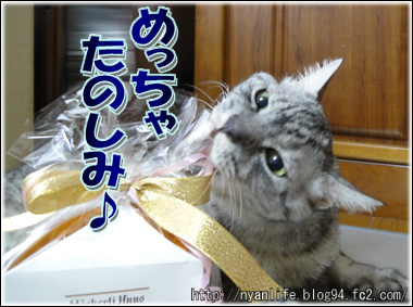 20110929-5.jpg
