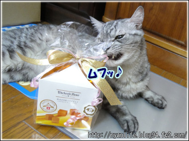 20110929-6.jpg