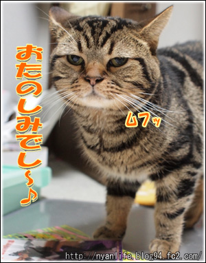 20110930-3.jpg