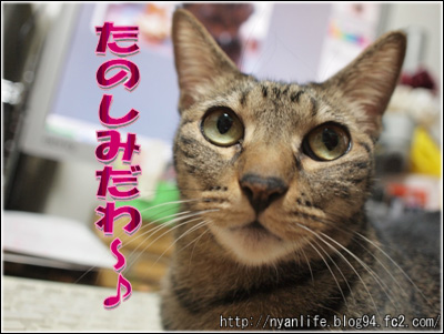 20110930-5.jpg