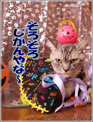 20111031-2.jpg