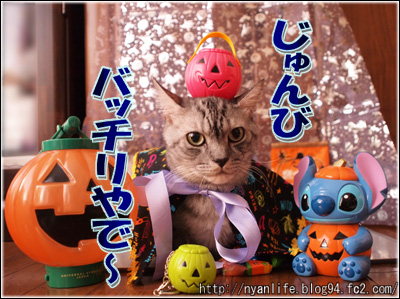 20111031-3.jpg
