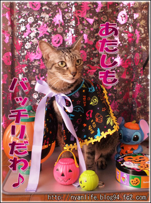 20111031-4.jpg