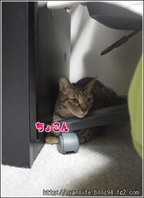 20111106-1.jpg