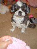 5DSC09816m.jpg