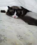 2013060910270000.jpg