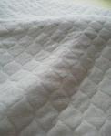 2013060910270001.jpg