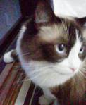 2013062319160000.jpg