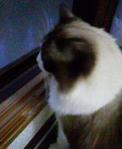 2013062319170000.jpg