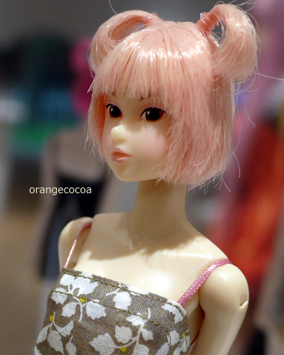 120125b.jpg