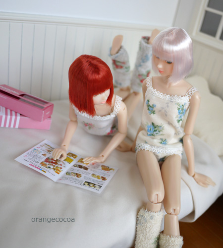 120219a.jpg