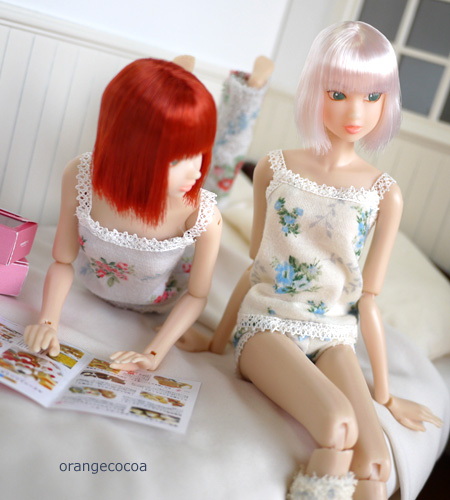 120219d.jpg