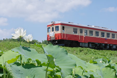 AMGP8785.jpg