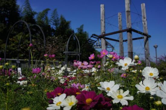 2011 花の文化園