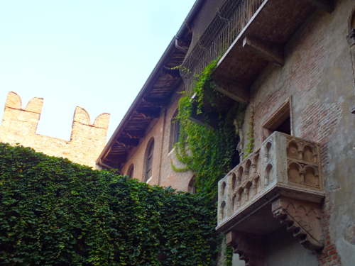 DSCF9047.jpg