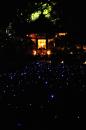pianao_20120313_04.jpg