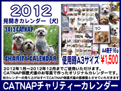 2012inu01.gif