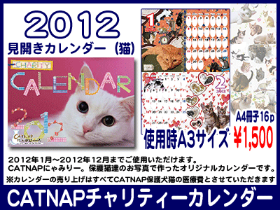 2012neko1.gif