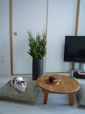 009_201312101945262d3.jpg