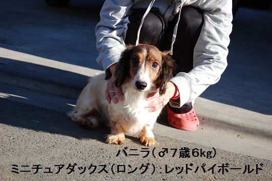 DSC_0021-7.jpg