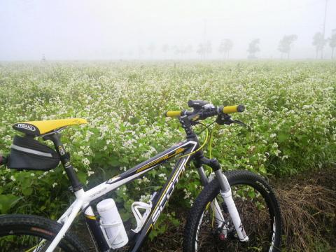 P1150036.jpg
