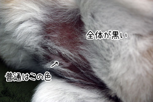 2013-4-5-1.jpg