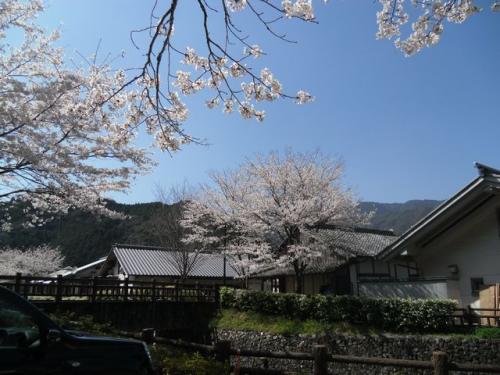土佐和紙工芸村