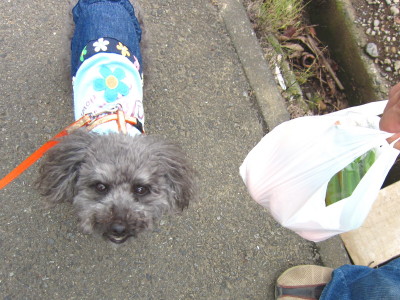 C_20110827_18.jpg