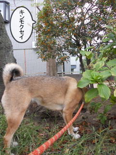 気になるカホリは人それぞれ!!!???1