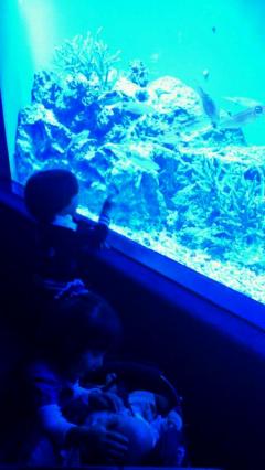 rps20110928_203836.jpg