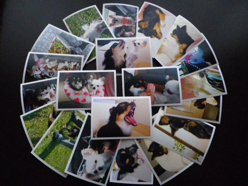 WF000168_20110820124446.jpg