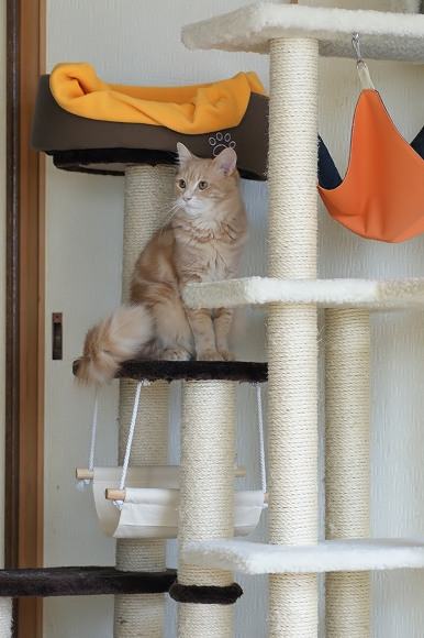 お腹空いた~~!!!