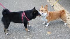仲良くしてくれて、ありがとう~!