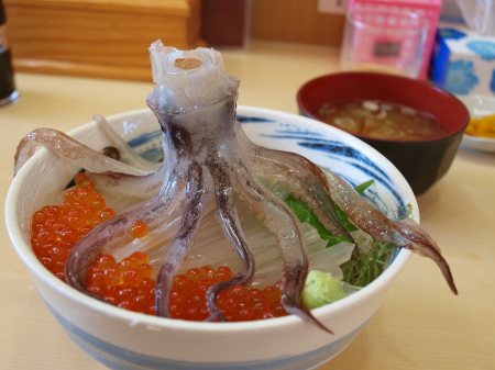 2011091603.jpg