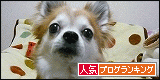 201243.gif