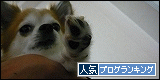 201253.gif
