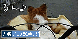 SCiykww_DJ1Bi_D.gif